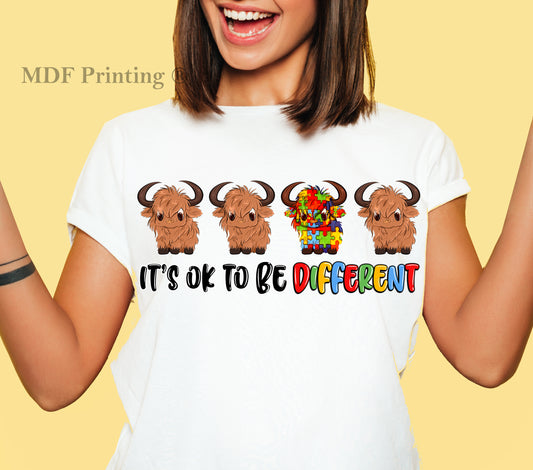 Its ok to be Different- Full Color Transfer DTF